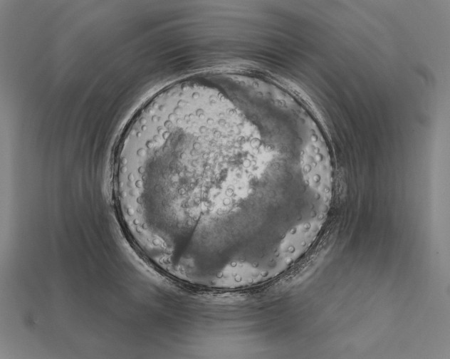 X0000112420851200909111008