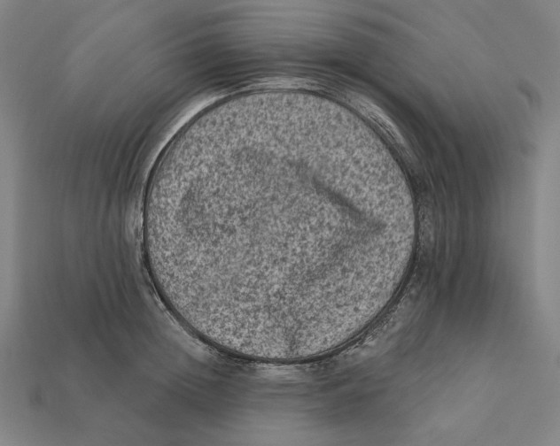 X0000112420852200909111008