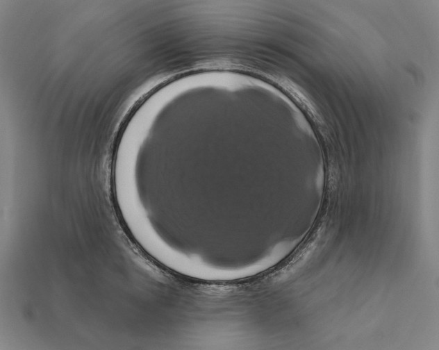 X0000112420854200909111008