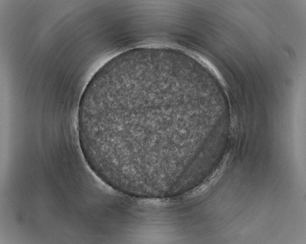 X0000112420855200909111008