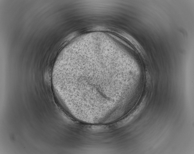 X0000112420857200909111008