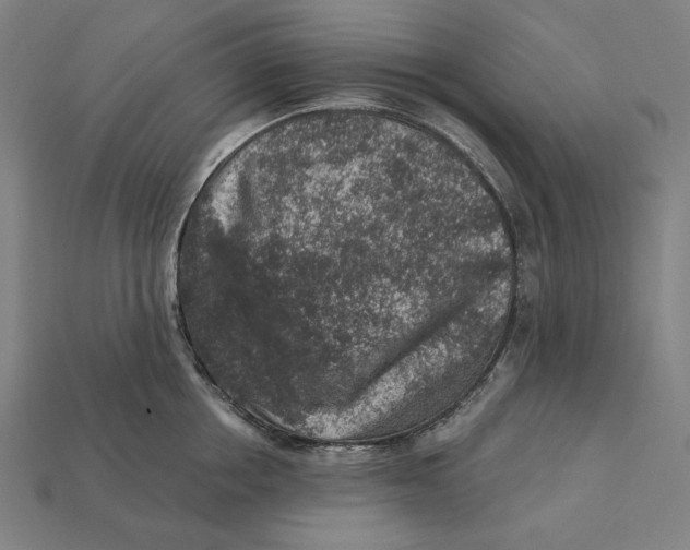 X0000112420858200909111009