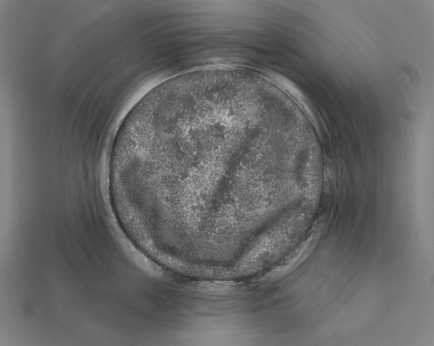 X0000112420859200909111009