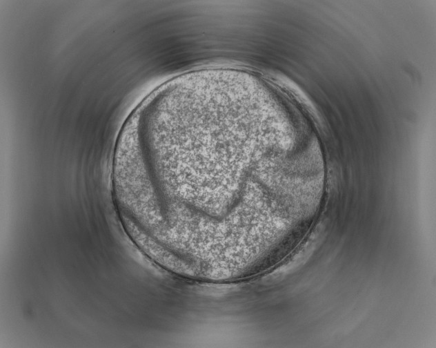 X0000112420860200909111009