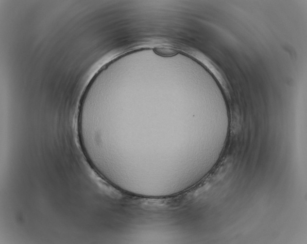 X0000112420861200909111009