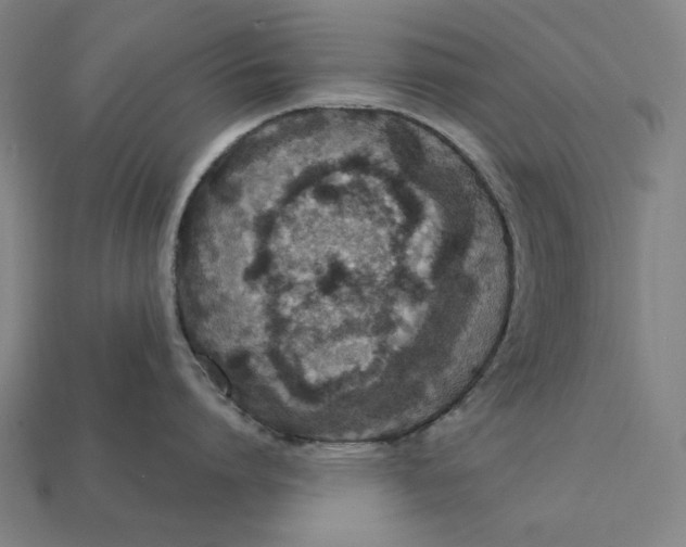 X0000112420864200909111009