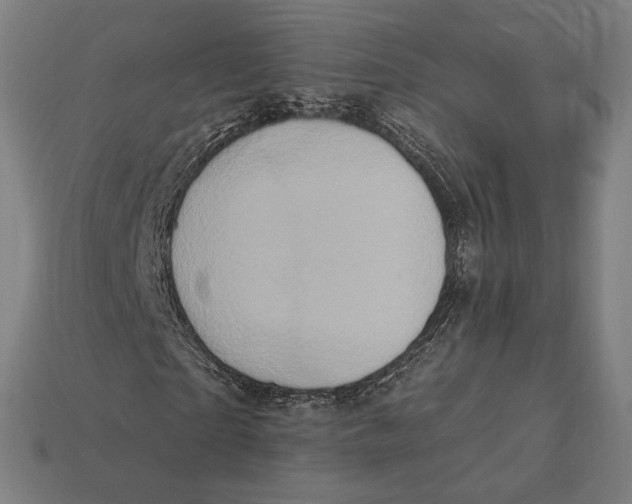 X0000112420865200909111008