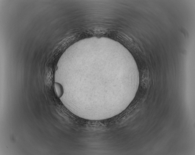 X0000112420866200909111008