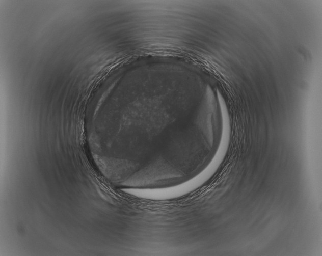 X0000112420868200909111008