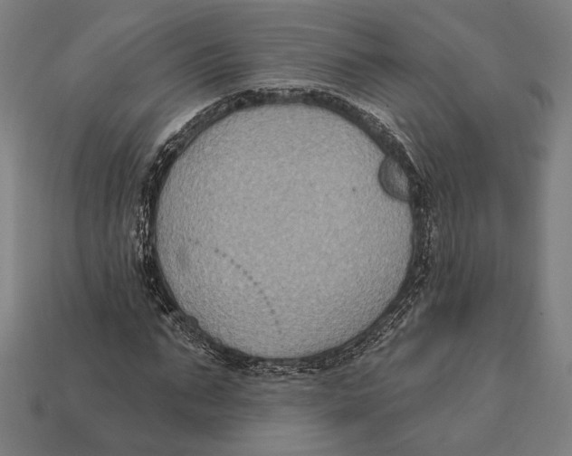 X0000112420871200909111008