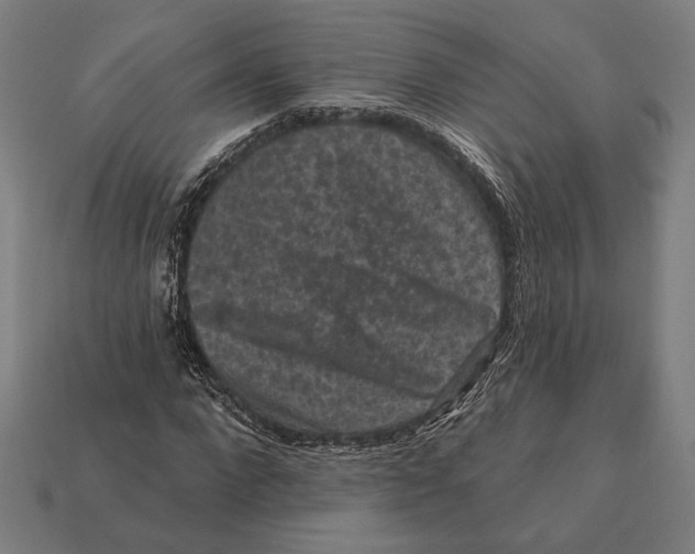 X0000112420872200909111008