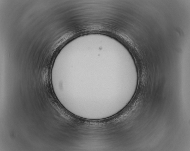 X0000112420873200909111008