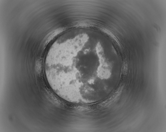 X0000112420874200909111008