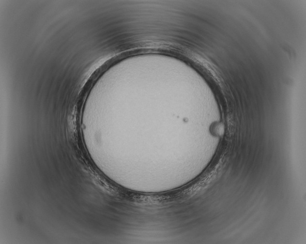 X0000112420875200909111008