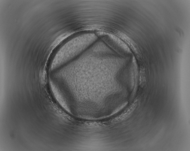 X0000112420876200909111008