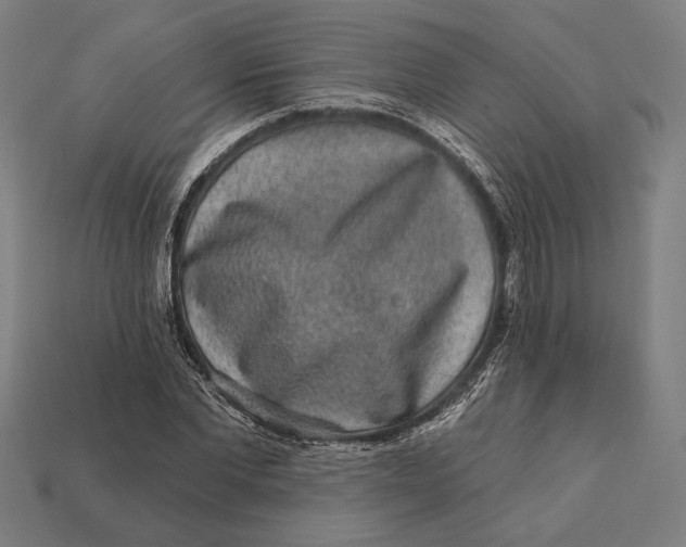 X0000112420877200909111008