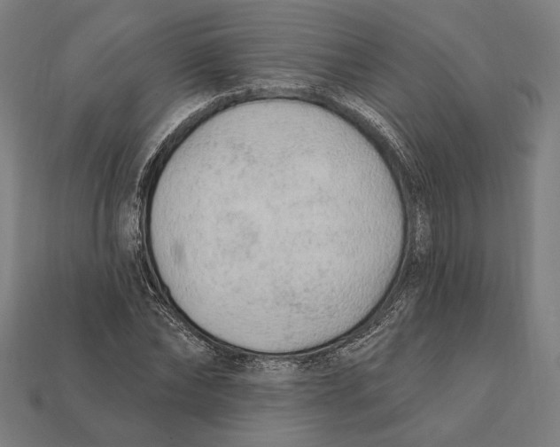 X0000112420878200909111008