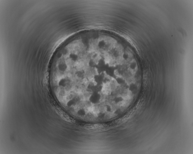 X0000112420879200909111008