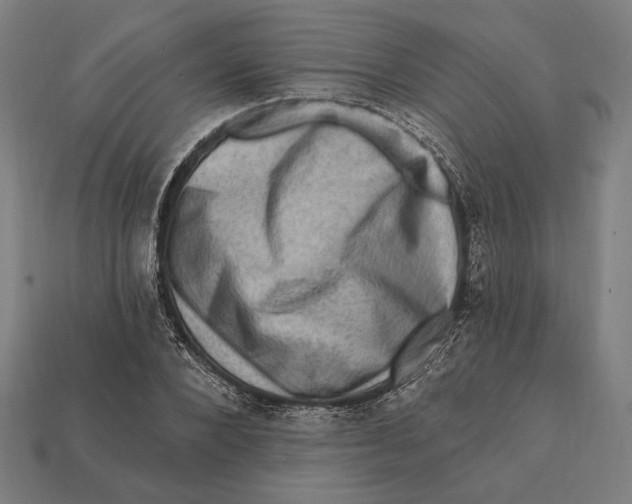 X0000112420880200909111008