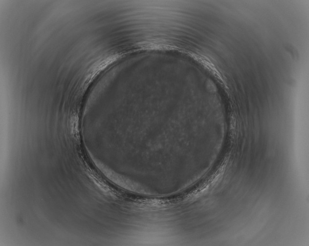 X0000112420881200909111008