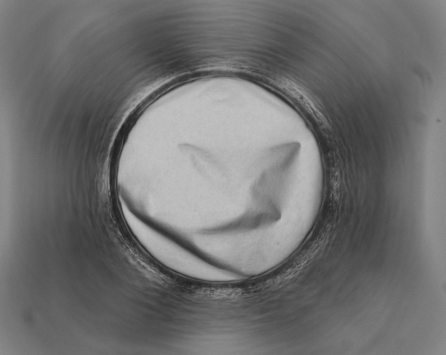 X0000112420884200909111008