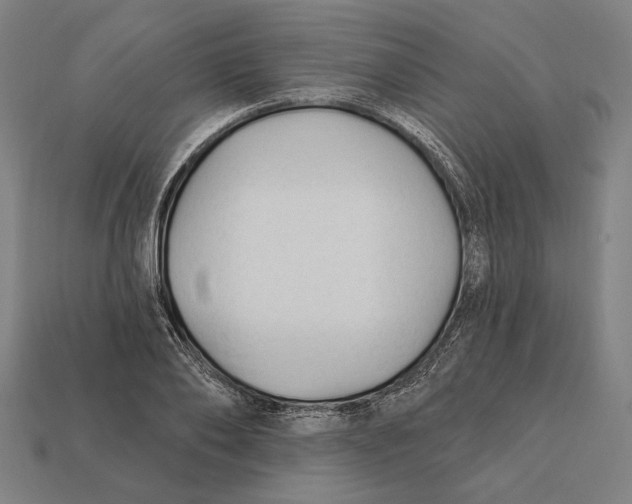 X0000112420886200909111008