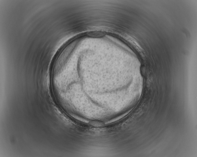 X0000112420888200909111008