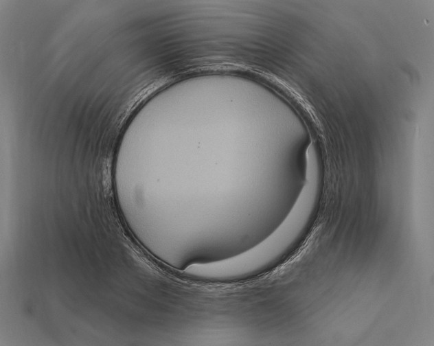 X0000112420889200909111008