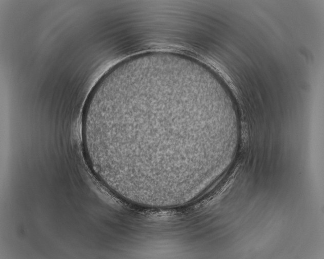 X0000112420891200909111008