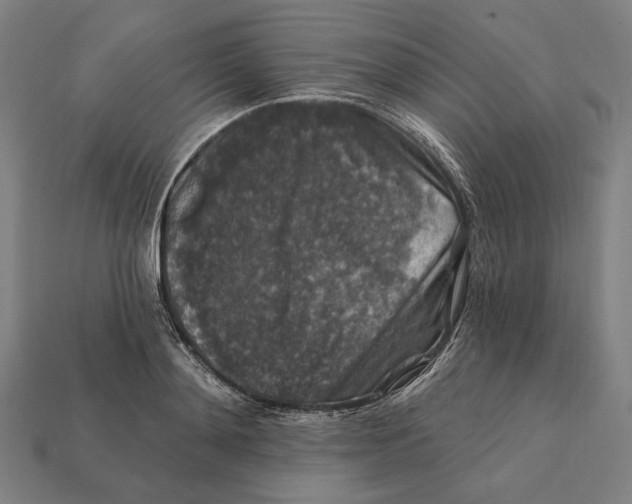 X0000112420892200909111008