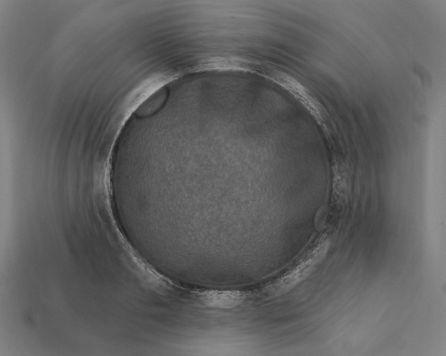 X0000112420893200909111008