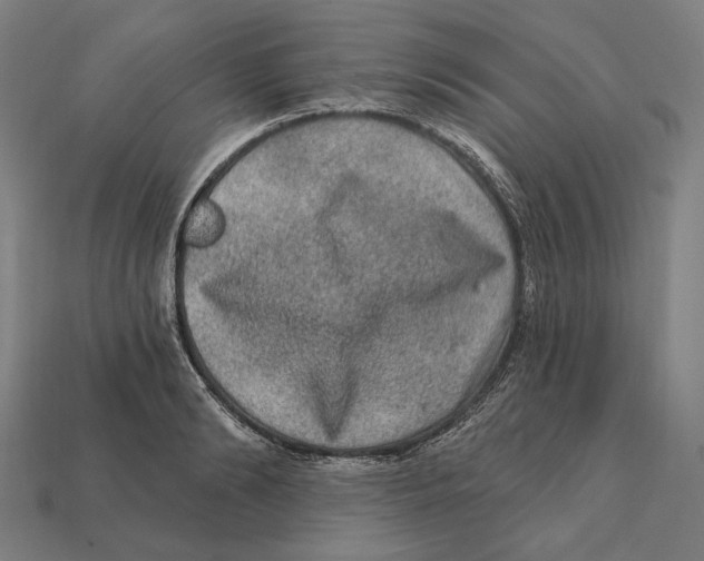 X0000112420894200909111008