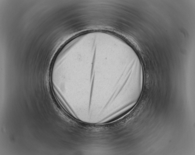 X0000112420895200909111008