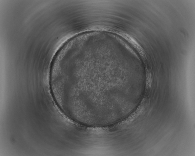 X0000112420896200909111008