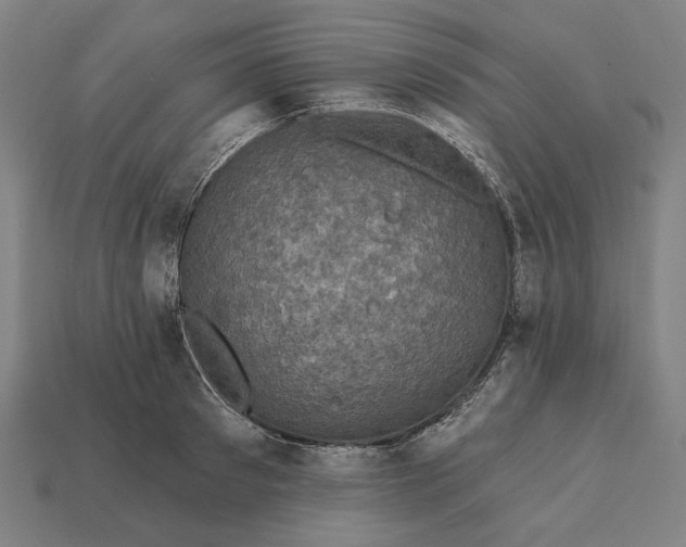 X0000112420897200909111008