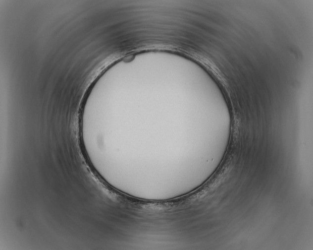 X0000112420898200909111008