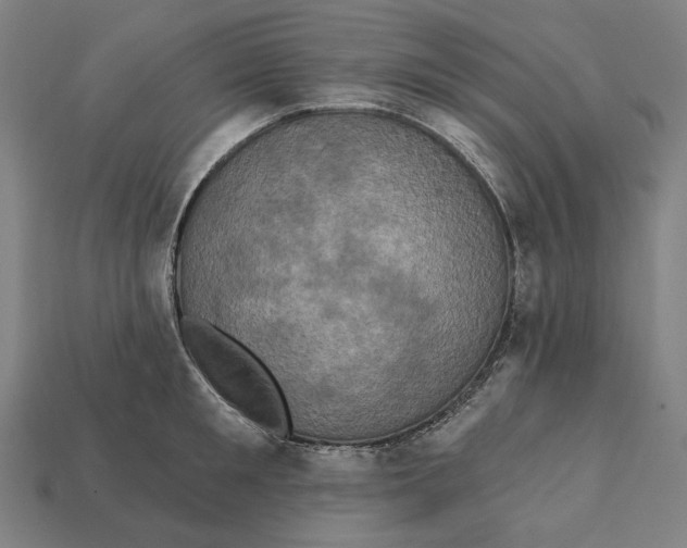 X0000112420901200909111008