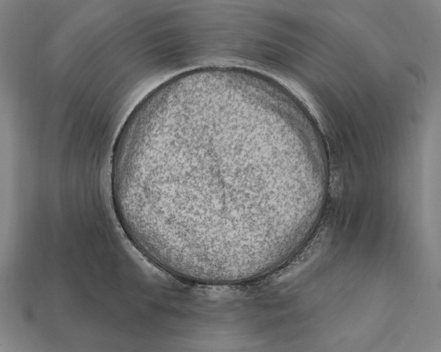 X0000112420903200909111007