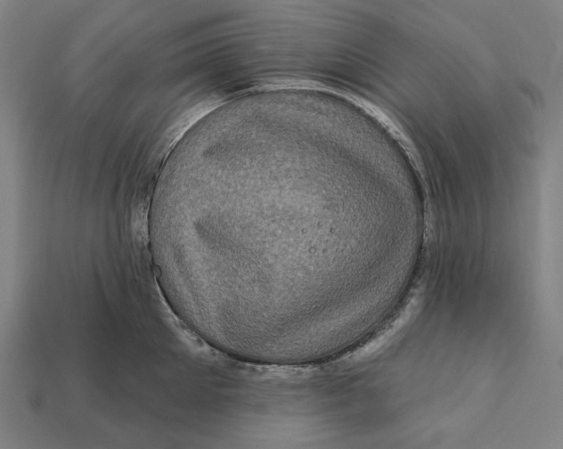 X0000112420905200909111007