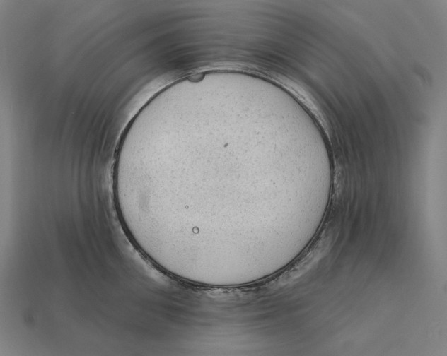 X0000112420906200909111007