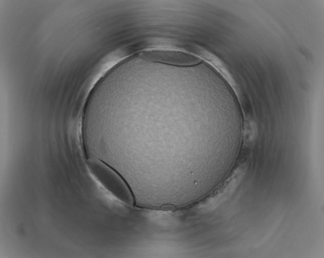 X0000112420909200909111007