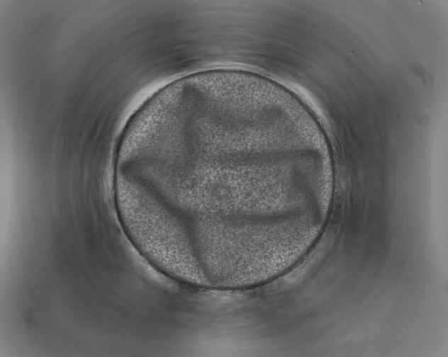 X0000112420910200909111007