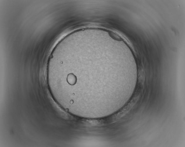 X0000112420911200909111007