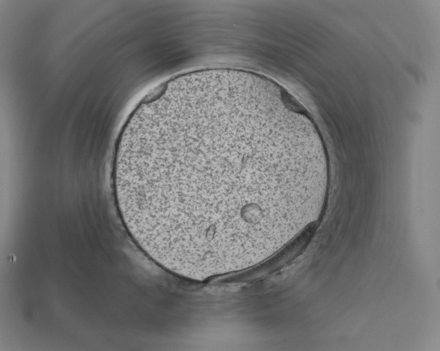 X0000112420912200909111007