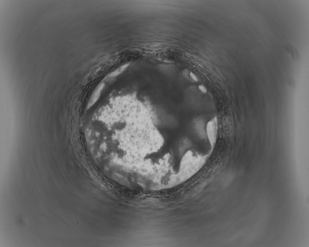 X0000112420913200909111007