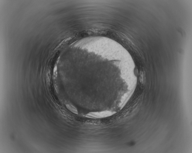 X0000112420915200909111007