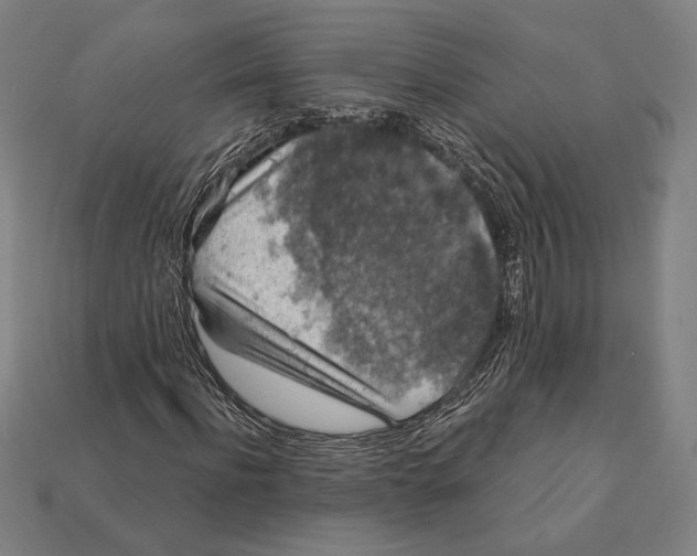 X0000112420916200909111007