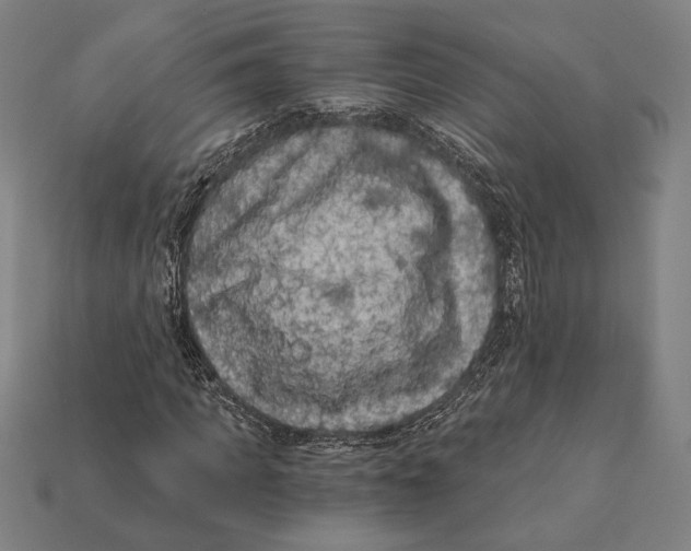 X0000112420917200909111007