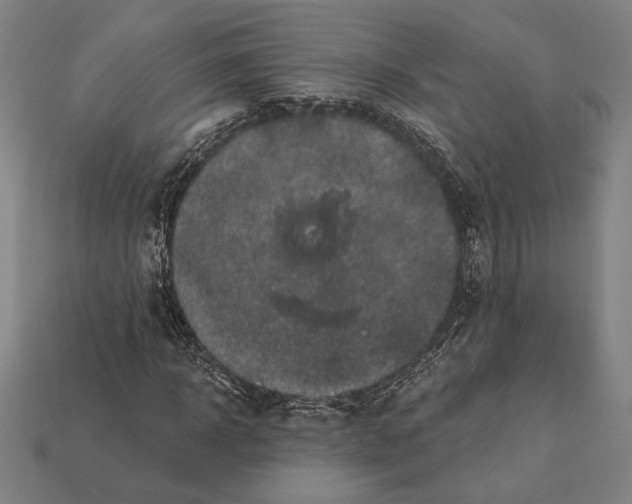 X0000112420918200909111007