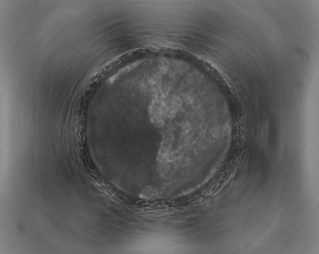 X0000112420919200909111007